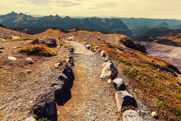 Národní park Mount rainier — Stock fotografie