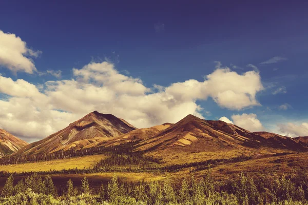 Krajobraz gór na Alasce — Zdjęcie stockowe