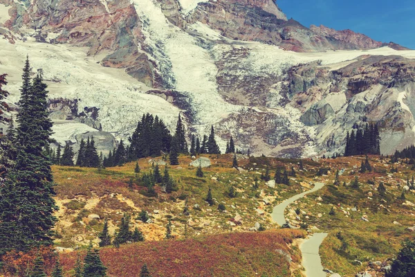 Mount-Rainier-Nationalpark — Stockfoto