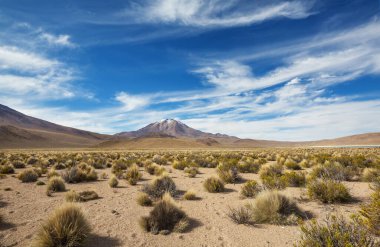 Kuzey Şili 'nin fantastik manzaraları, Atacama Çölü. Güzel, ilham verici doğal manzaralar. Yüksek dağlarda Kalgaspores.