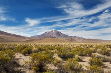 Kuzey Şili 'nin fantastik manzaraları, Atacama Çölü. Güzel, ilham verici doğal manzaralar. Yüksek dağlarda Kalgaspores.