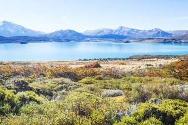 Perito Moreno Ulusal Parkı, Arjantin, Güney Amerika. Güzel renkli sonbahar mevsimi.