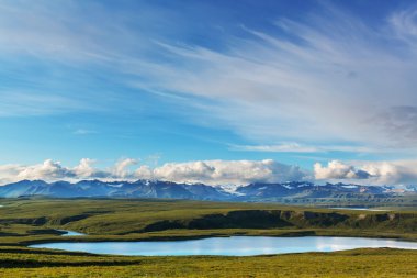 Manzara Denali karayolu üzerinde