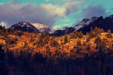 Sonbahar Colorado dağlarında