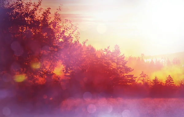 Dimma på ängen vid soluppgången — Stockfoto