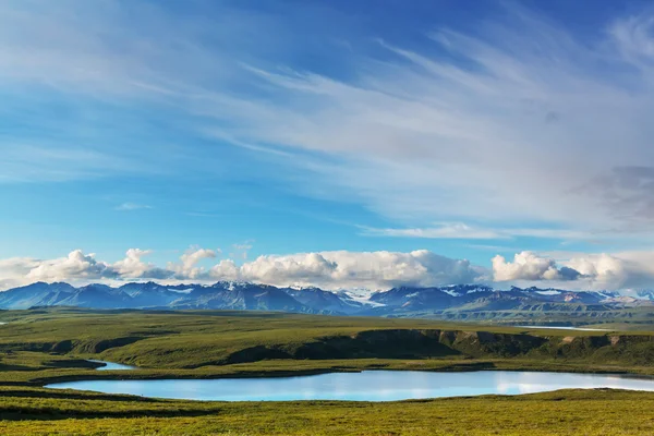 Tájak, a Denali autópálya — Stock Fotó