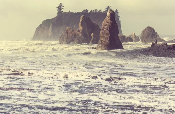 Olympic coast in National Park — Stock Photo, Image