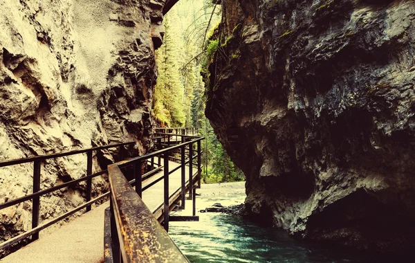 Schlucht in Banff np — Stockfoto