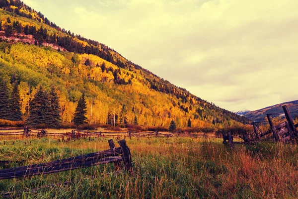 Escena de otoño en las montañas — Foto de Stock