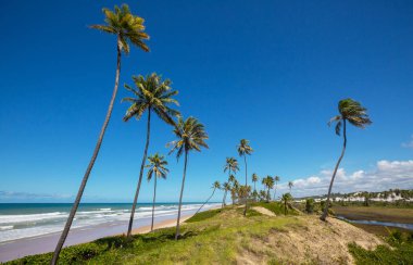 Brezilya 'nın tropik plajlarındaki güzel yaz manzaraları. Tatil arkaplanı.