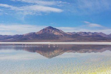 Kuzey Şili 'nin fantastik manzaraları, Atacama Çölü. Güzel, ilham verici doğal manzaralar. Yüksek dağlarda Kalgaspores.