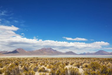 Kuzey Şili 'nin fantastik manzaraları, Atacama Çölü. Güzel, ilham verici doğal manzaralar. Yüksek dağlarda Kalgaspores.
