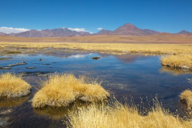 Atacama Çölü, Kuzey Şili 'deki güzel doğal manzaralar.