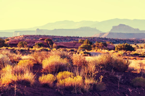 Amerikaanse prairie landschap — Stockfoto