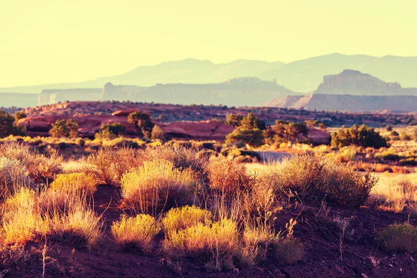 Pradera americana paisaje —  Fotos de Stock