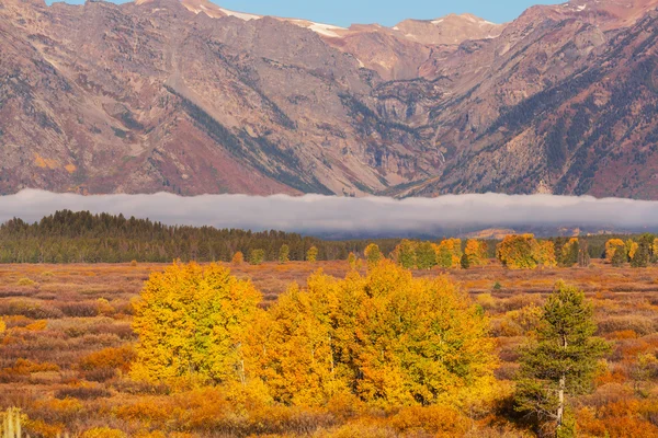 Hösten i Grand Teton — Stockfoto
