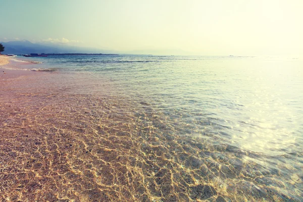 Bella spiaggia oceanica — Foto Stock