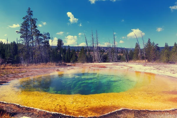 Morning glory pool — Stockfoto