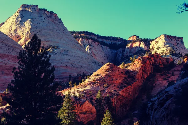 Parque nacional de Zion — Foto de Stock