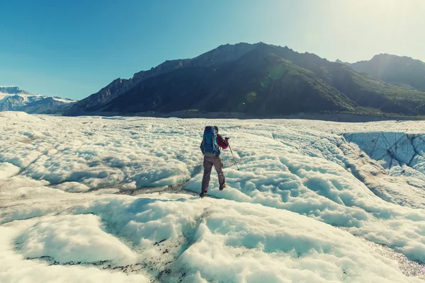 Wrangell-St. Elias Milli parkta yürüyüş