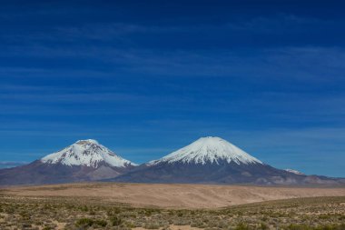 Kuzey Şili 'nin fantastik manzaraları, Atacama Çölü. Güzel, ilham verici doğal manzaralar. Yüksek dağlarda Kalgaspores.