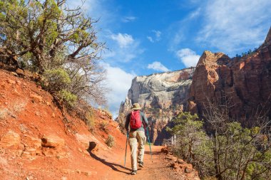 Zion Ulusal Parkı 'nda yürüyüş. Utah, Zion Ulusal Parkı 'nda bir adam yolda yürüyor. Geriye dönük bir yüz görünmüyor..