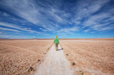 Kuzey Arjantin, Güney Amerika 'da dağlarda yürüyen bir adam