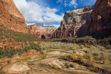 Zion Ulusal Parkı. Güzel, sönük doğal manzaralar. Gün batımında Zion Park 'ta zirve..