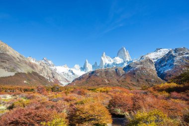 Patagonya dağlarında sonbahar sezonu, Güney Amerika, Arjantin