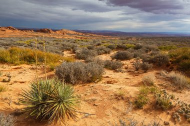 Amerikan peyzajları- çayır ve kayalıklar, Utah, ABD.
