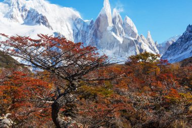Patagonya dağlarında sonbahar sezonu, Güney Amerika, Arjantin