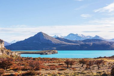 Perito Moreno Ulusal Parkı, Arjantin, Güney Amerika. Güzel renkli sonbahar mevsimi.