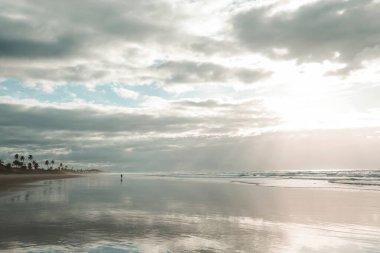 Brezilya 'nın tropik plajlarındaki güzel yaz manzaraları. Tatil arkaplanı.