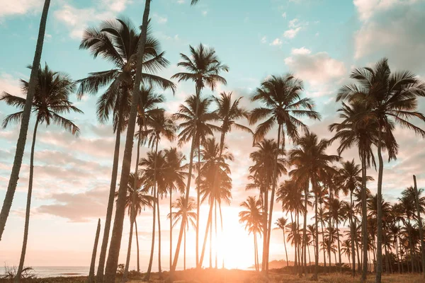 Tropikal sahildeki güzel yaz manzaraları. Tatil arkaplanı.