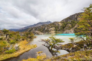 Patagonya dağlarındaki güzel göl. Arjantin, Güney Amerika 'da olağanüstü doğal manzaralar