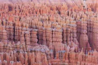 Kış mevsiminde Bryce Canyon Ulusal Parkı 'nın renkli pembe kayaları Utah, ABD