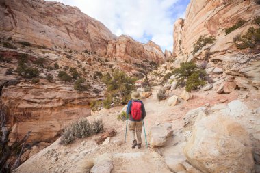 Utah dağlarında yürüyüş. Alışılmadık doğal manzaralarda yürüyüş. Fantastik kumtaşı oluşumları.