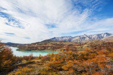 Patagonya dağlarında sonbahar sezonu, Güney Amerika, Arjantin