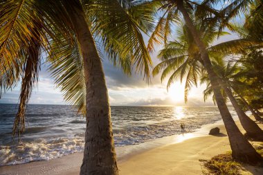 Tropikal sahildeki güzel yaz manzaraları. Tatil arkaplanı.