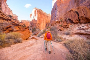Utah, Capitol Resifi Ulusal Parkı 'ndaki alışılmadık doğal manzaralar.
