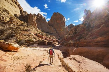 Utah, Capitol Resifi Ulusal Parkı 'nda yürüyüş