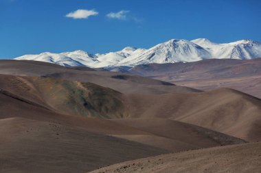 Kuzey Şili 'nin fantastik manzaraları, Atacama Çölü. Güzel, ilham verici doğal manzaralar. Yüksek dağlarda Kalgaspores.
