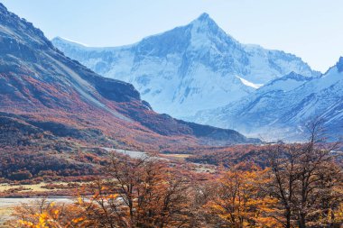 Patagonya dağlarında sonbahar sezonu, Güney Amerika, Arjantin