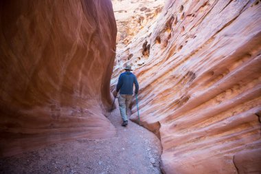 Utah, ABD 'deki Grand Staircase Escalante Ulusal Parkı' ndaki Slot Kanyonu. Utah çöllerinde alışılmadık renkli kumtaşı oluşumları yürüyüşçüler için popülerdir..