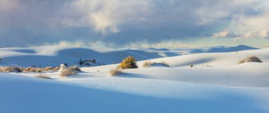 White Sands Ulusal Anıtı, New Mexico, ABD 'de alışılmadık doğal manzaralar