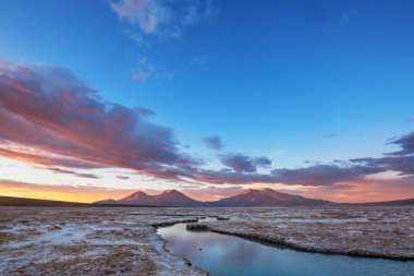 Kuzey Şili 'nin fantastik manzaraları, Atacama Çölü. Güzel, ilham verici doğal manzaralar. Yüksek dağlarda Kalgaspores.