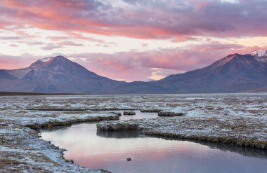 Atacama Çölü, Şili, Güney Amerika 'da Doğal Sıcak Bahar.