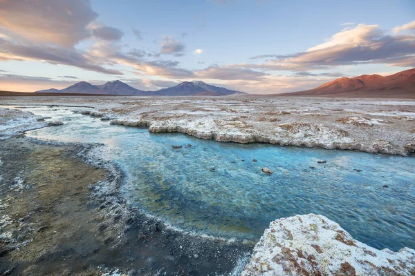 Atacama Çölü, Şili, Güney Amerika 'da Doğal Sıcak Bahar.