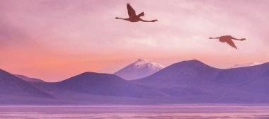 Kuzey Şili 'nin fantastik manzaraları, Atacama Çölü. Güzel, ilham verici doğal manzaralar. Yüksek dağlarda Kalgaspores.