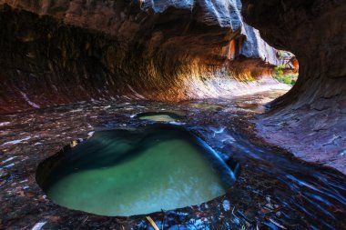 Zion national park